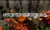 研究发现新因素限制混合动力车和纯电动车电池使用寿命