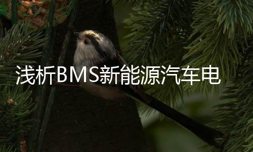 浅析BMS新能源汽车电子组件制程污染物的分类及危害