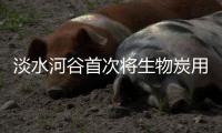 淡水河谷首次将生物炭用于球团矿生产，技术储备有多少？