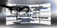 蚂蚁数科的「执念」：RWA以新能源为锚，以全球为场